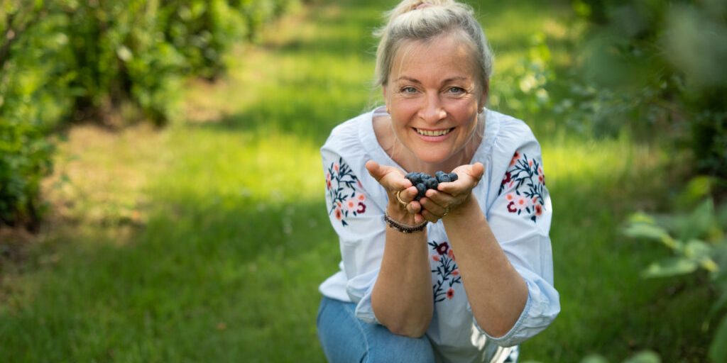 Bickbeernhof begeistert Besucher mit Bio-Blaubeeren
