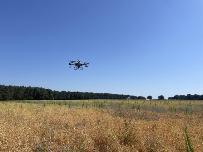 Jetzt bewerben: Digitalisierungspreis Agrar und Ernährung