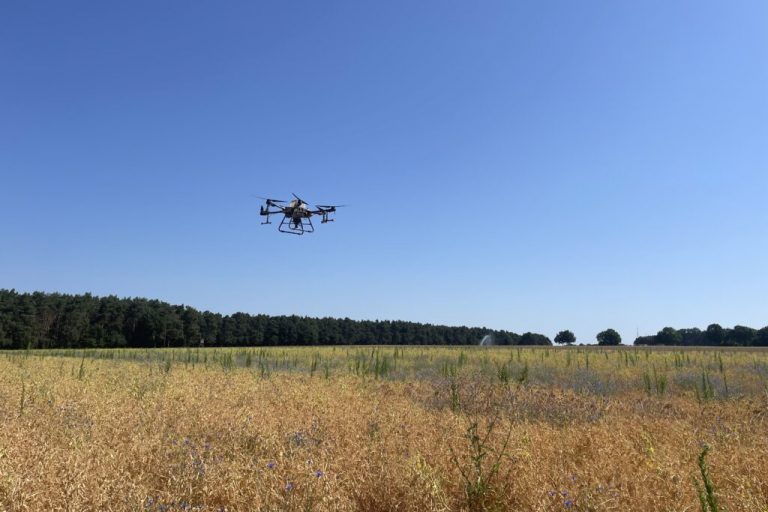 Jetzt bewerben: Digitalisierungspreis Agrar und Ernährung