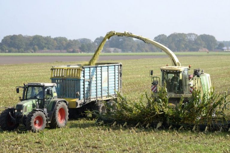 Nach der Getreideernte ist vor der Maisernte