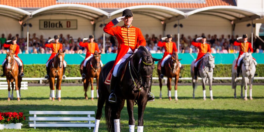 Tradition kehrt zurück: Neuauflage der Hengstparade