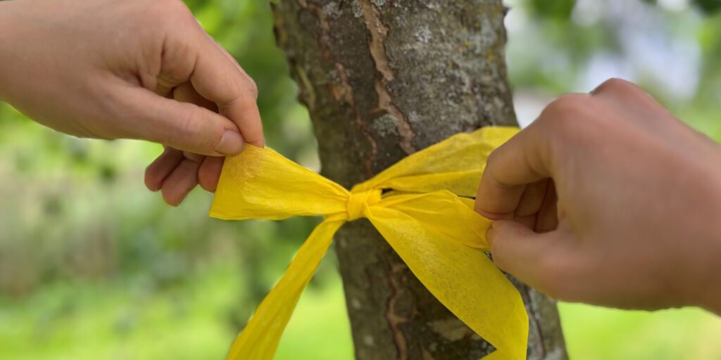 Ernte ist zu „Zu gut für die Tonne“