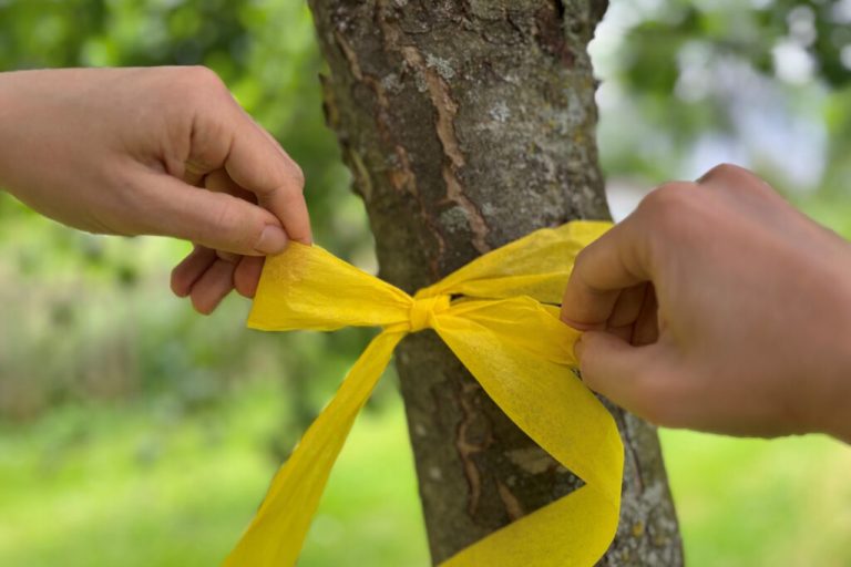Ernte ist zu „Zu gut für die Tonne“