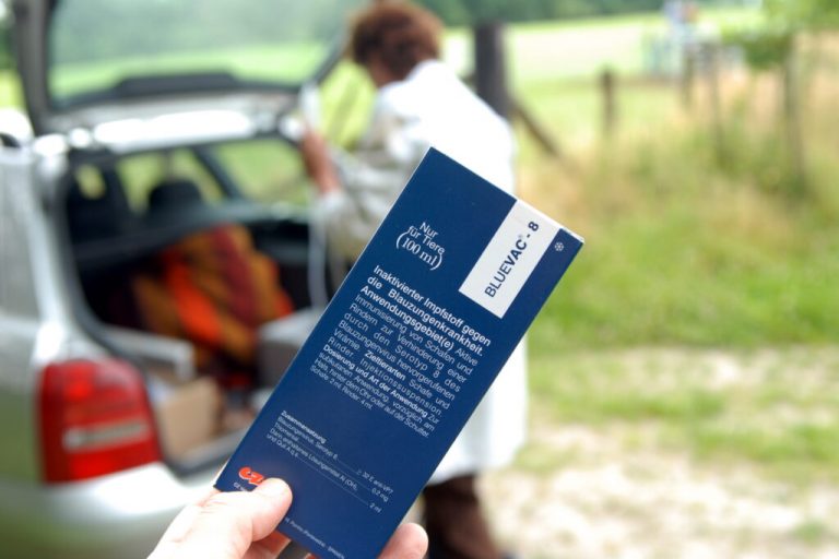 Wirksamstes Mittel gegen Tierseuchen ist Impfung