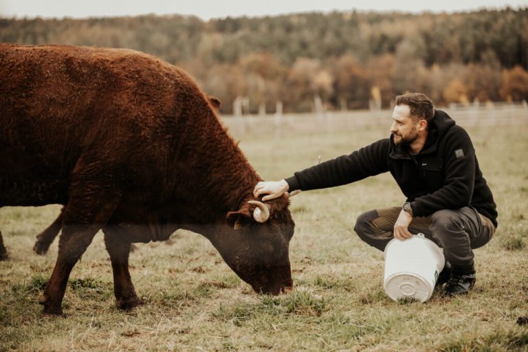 Wenn Arbeit zur Last wird: Seelische Gesundheit in der Landwirtschaft