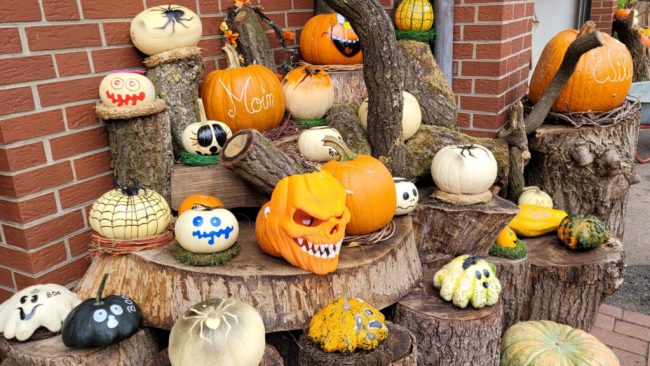 Hofläden bieten Kürbisse in allen Formen und Farben