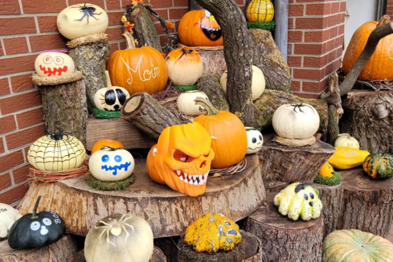 Hofläden bieten Kürbisse in allen Formen und Farben