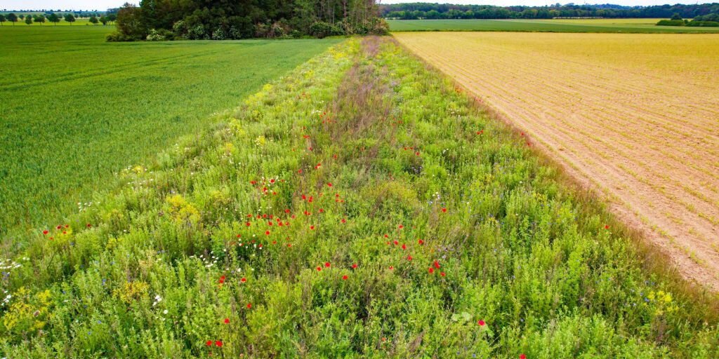 Erfolgsgeschichte: Ein Jahrzehnt Vertragsnaturschutz