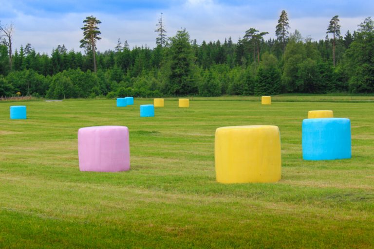 Bauern weisen mit bunten Ballen auf Krebsvorsorge hin