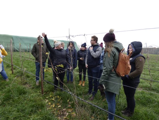 Landjugend sorgt auch 2026 für Bewegung