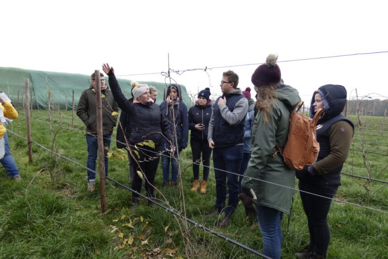 Landjugend sorgt auch 2026 für Bewegung