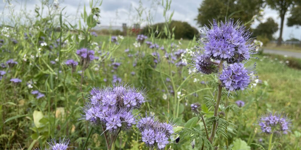 Agrardialog stärkt Austausch über Artenvielfalt