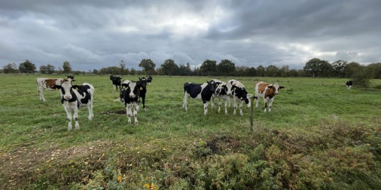 Grünlandbewirtschaftung vor neuen Herausforderungen