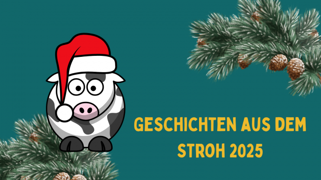 HP_Geschichten aus dem Stroh 2025