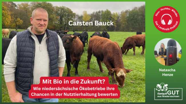Herausforderungen und Chancen der Öko-Tierhaltung