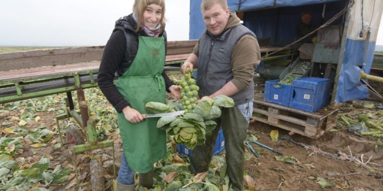 Wintergemüse wärmt Leib und Seele