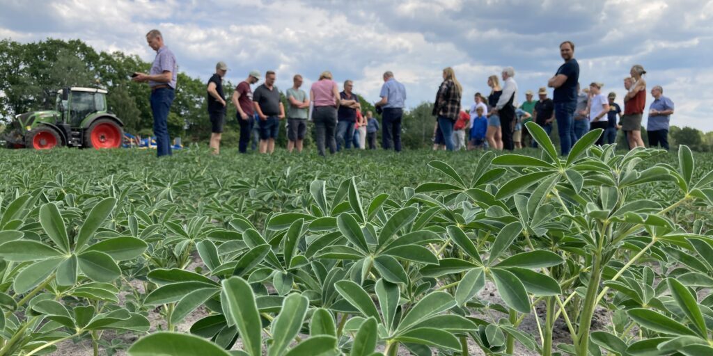 FINKA zeigt wirksame Wege für mehr Biodiversität auf dem Acker