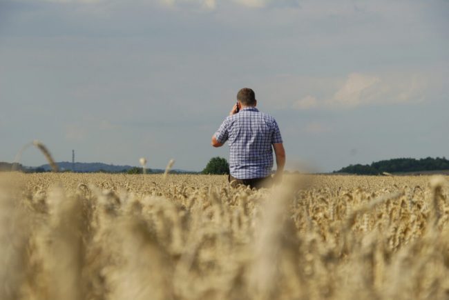 Beratung und Mediation: Gemeinsam Lösungen finden