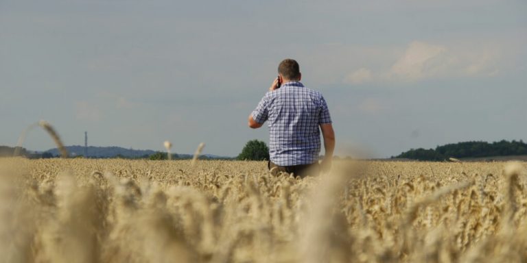 Beratung und Mediation: Gemeinsam Lösungen finden