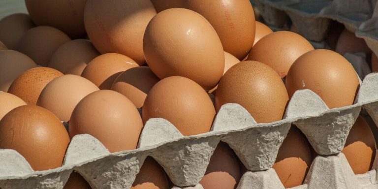 Nachfrage nach Eiern boomt zu Weihnachten