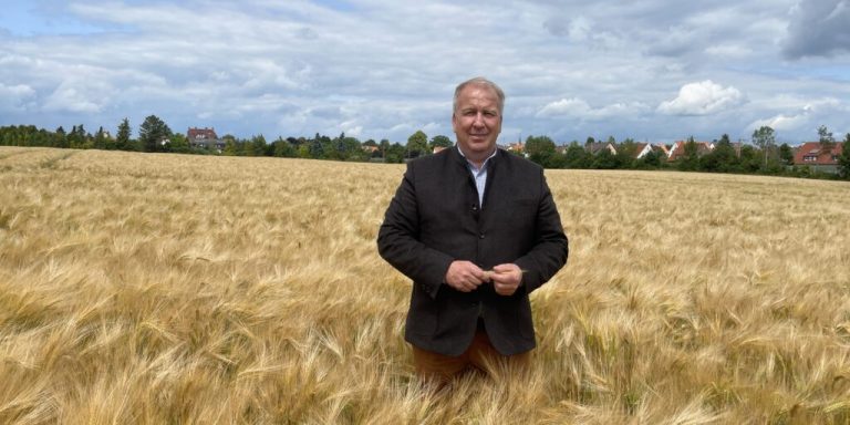 Viel Ernte, wenig Erlös: Getreidemärkte unter Druck