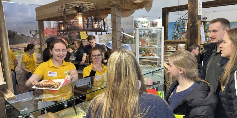 Strohpuppen, Kartoffelsushi und Teamtraining