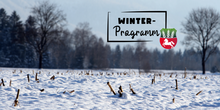 Bilder LV- Homepage (2)