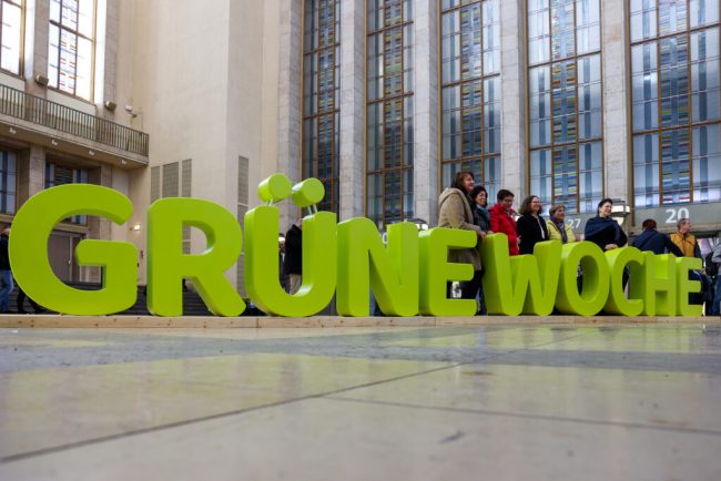 100 Jahre Grüne Woche: Landwirtschaftsmesse feiert Jubiläum