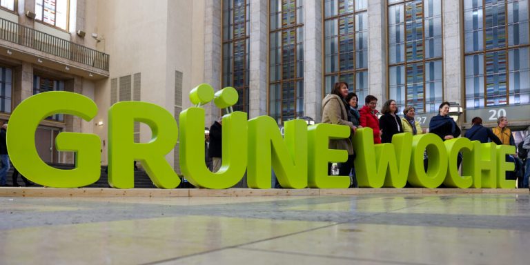 100 Jahre Grüne Woche: Landwirtschaftsmesse feiert Jubiläum