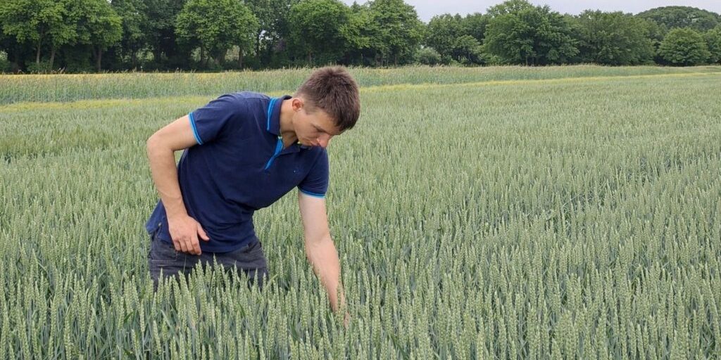 Pflanzen gegen Krankheiten für die Zukunft fit machen