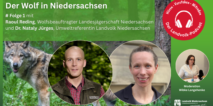 Der Wolf in Niedersachsen: Geschichte und Zukunft