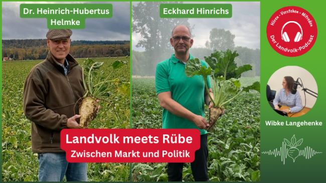 Zuckermarkt weiter unter Druck