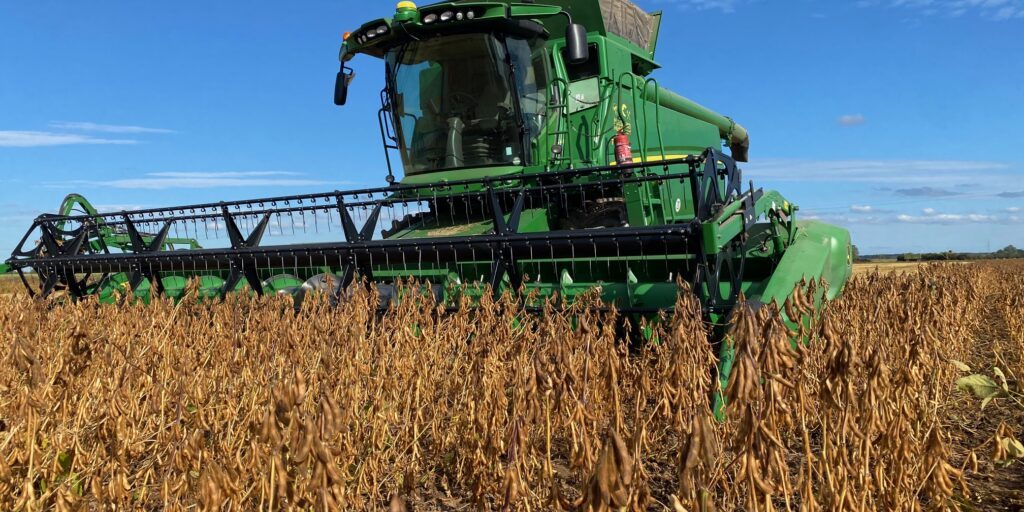 Sojaanbau: Wie die Bohne Niedersachsen erobert