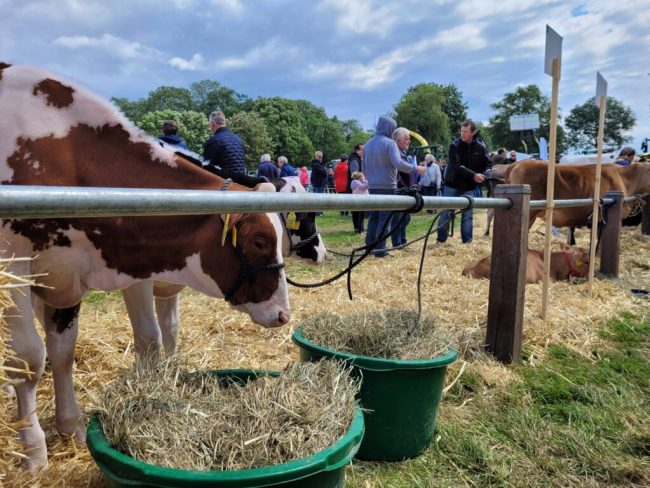 Landwirtschaft am „Tag des offenen Hofes“ hautnah erleben