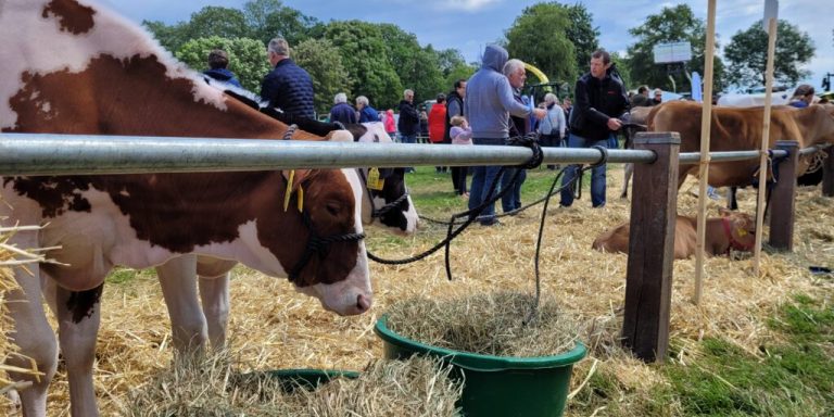 Landwirtschaft am „Tag des offenen Hofes“ hautnah erleben