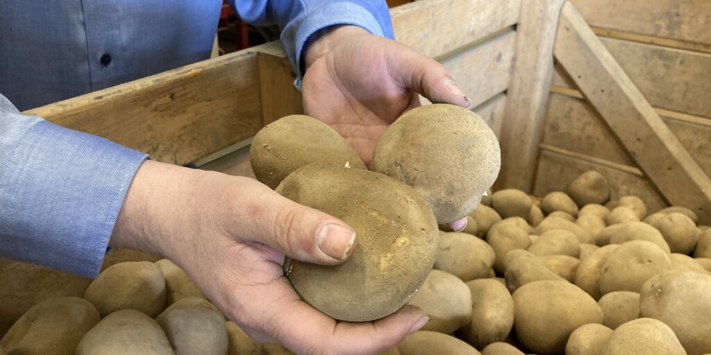 Große Spannbreite zwischen Import und Überschuss