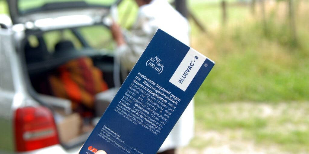 Jetzt gegen das Virus der Blauzungenkrankheit impfen