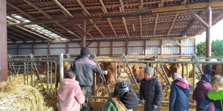 Bauernhof statt Klassenzimmer