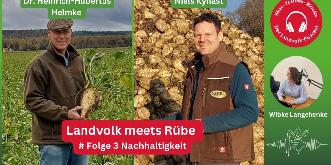 Wie nachhaltig ist die Zuckerrübe?