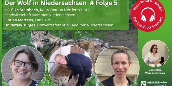 Herdenschutz: Zwischen Praxis, Kosten und Politik