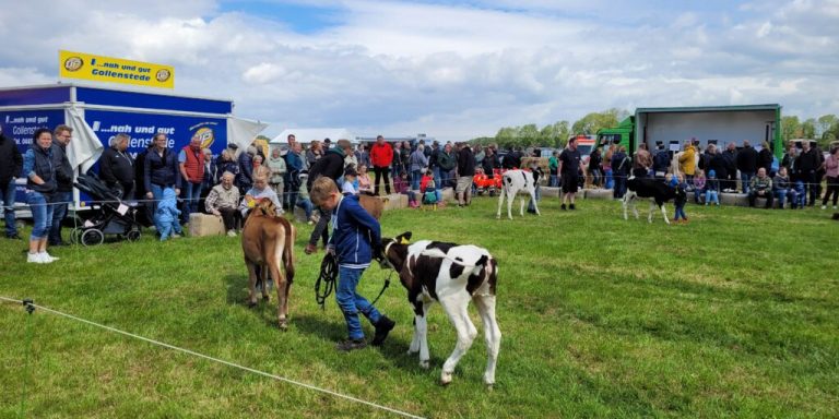 Am 7. Juni öffnen Niedersachsens Höfe ihre Tore