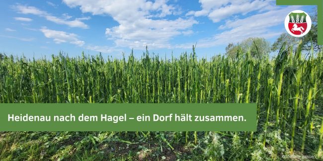 Homepage-Hagel