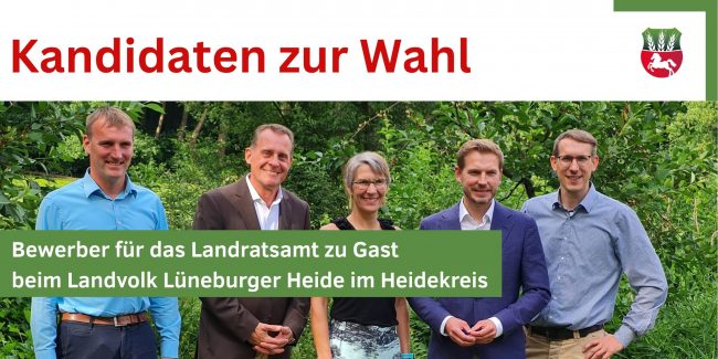 Kandidaten zur Wahl