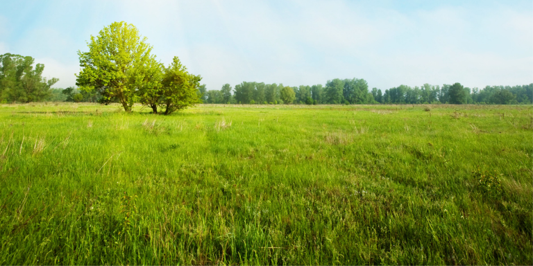 Homepage