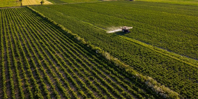 agriculture-6502282_1280